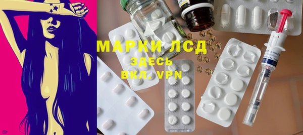 ГАЛЛЮЦИНОГЕННЫЕ ГРИБЫ Карталы