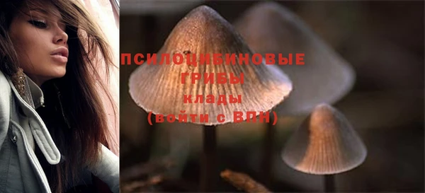 ГАЛЛЮЦИНОГЕННЫЕ ГРИБЫ Карталы