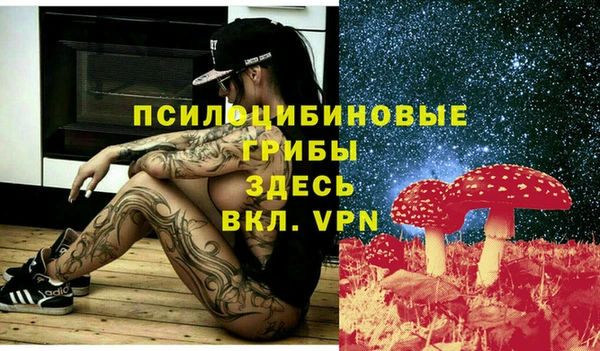 гидропоника Касимов