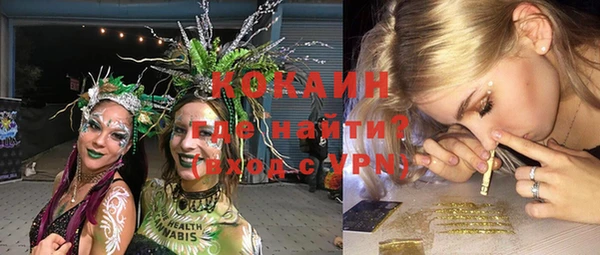 ГАЛЛЮЦИНОГЕННЫЕ ГРИБЫ Карталы