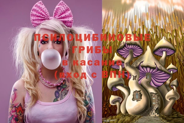 гидропоника Касимов