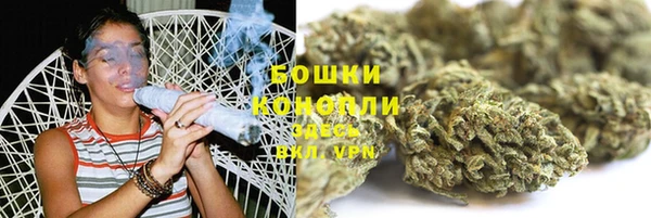 ГАЛЛЮЦИНОГЕННЫЕ ГРИБЫ Карталы